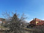 Olešná