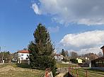 Olešná