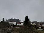 Olešná