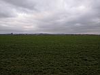 Císařov
