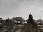 Olešná