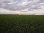 Císařov