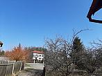 Olešná