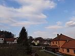 Olešná
