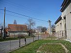 Třibřichy