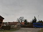 Olešná