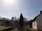 Olešná