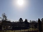 Olešná