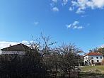 Olešná