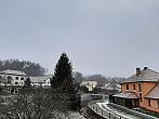 Olešná