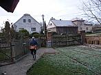 Třibřichy