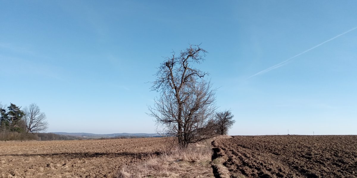 Lukovany