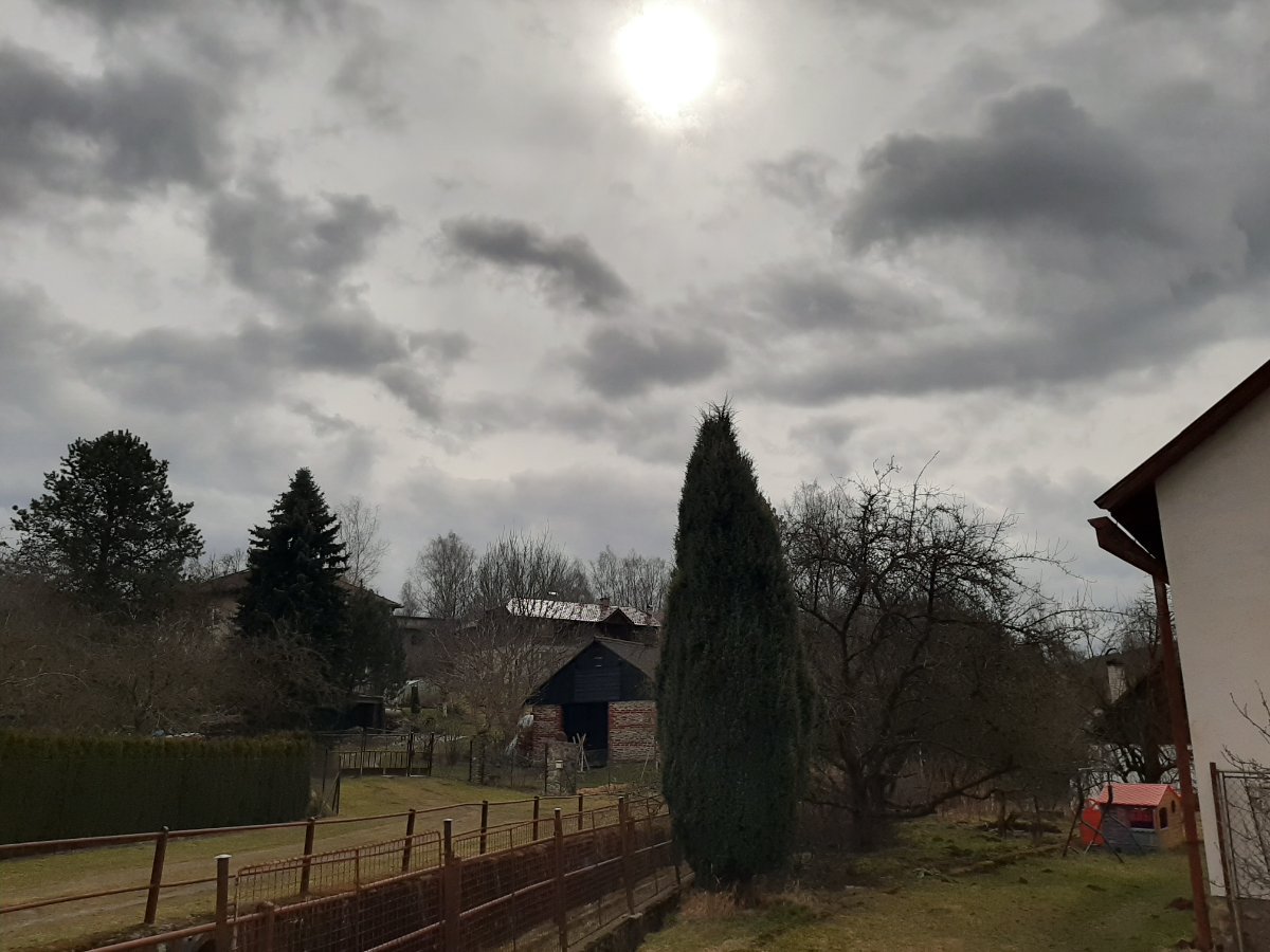 Olešná