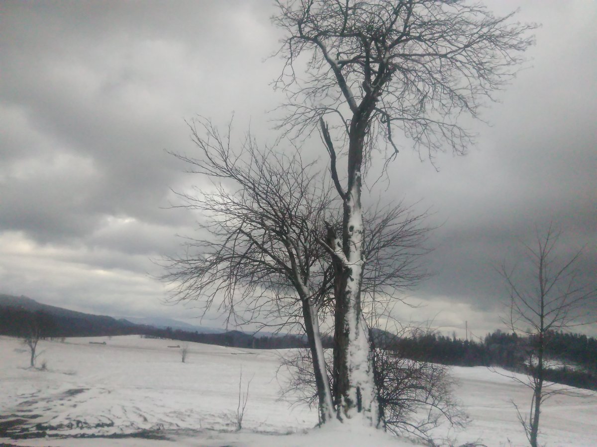 Horní Světlá