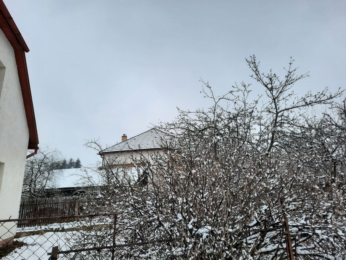 Olešná