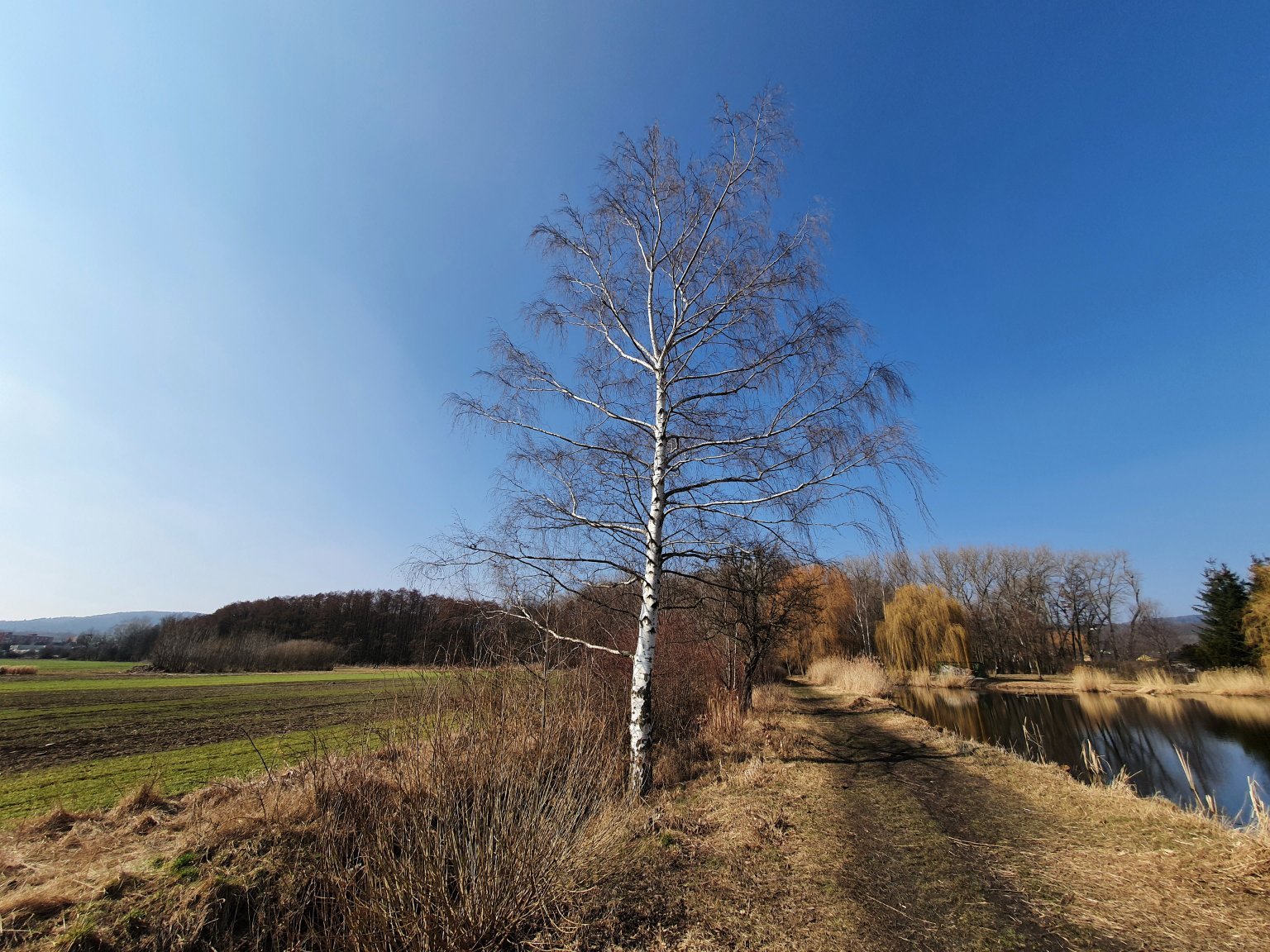 Chomutov