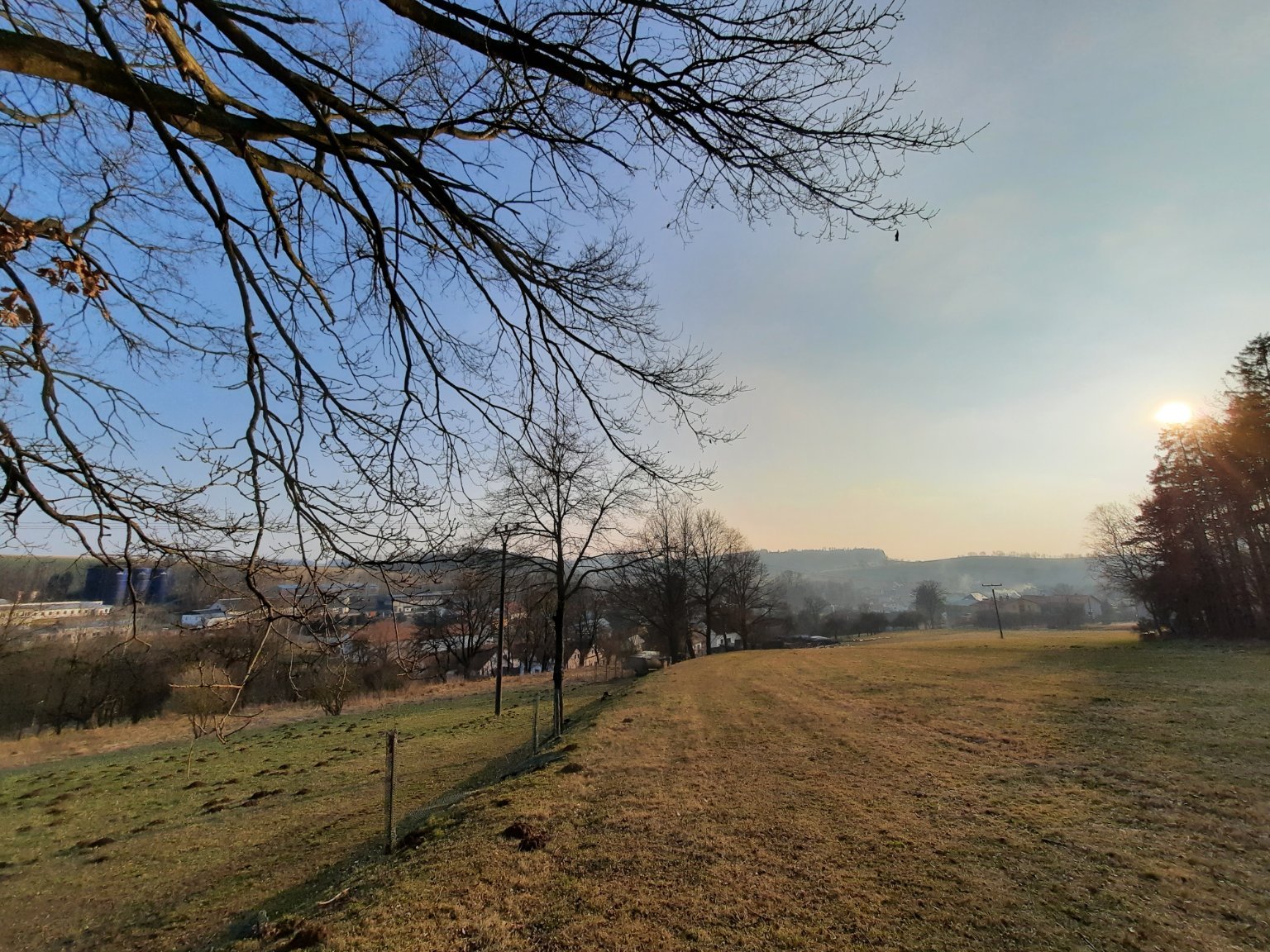 Olešná