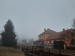 Olešná