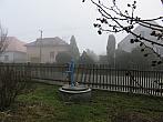Třibřichy