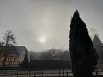 Olešná