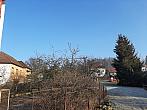 Olešná