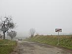 Třibřichy