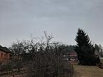 Olešná