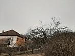 Olešná