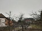 Olešná