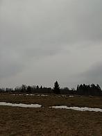 Skalité