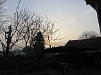 Třibřichy