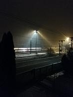 Skalité