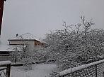 Olešná