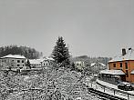 Olešná