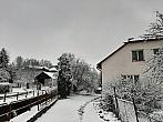 Olešná