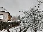 Olešná