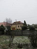 Třibřichy