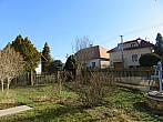 Třibřichy