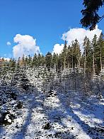 Česká Třebová