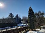 Olešná