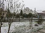 Třibřichy
