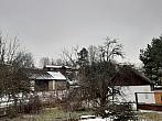 Olešná