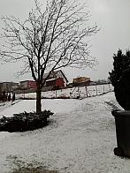 Skalité