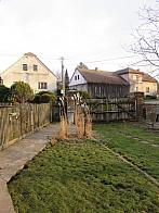 Třibřichy