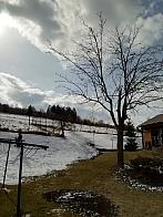 Skalité