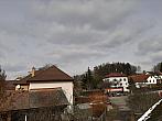 Olešná