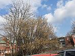 Jihlava