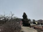 Olešná