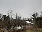 Olešná
