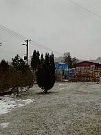 Skalité